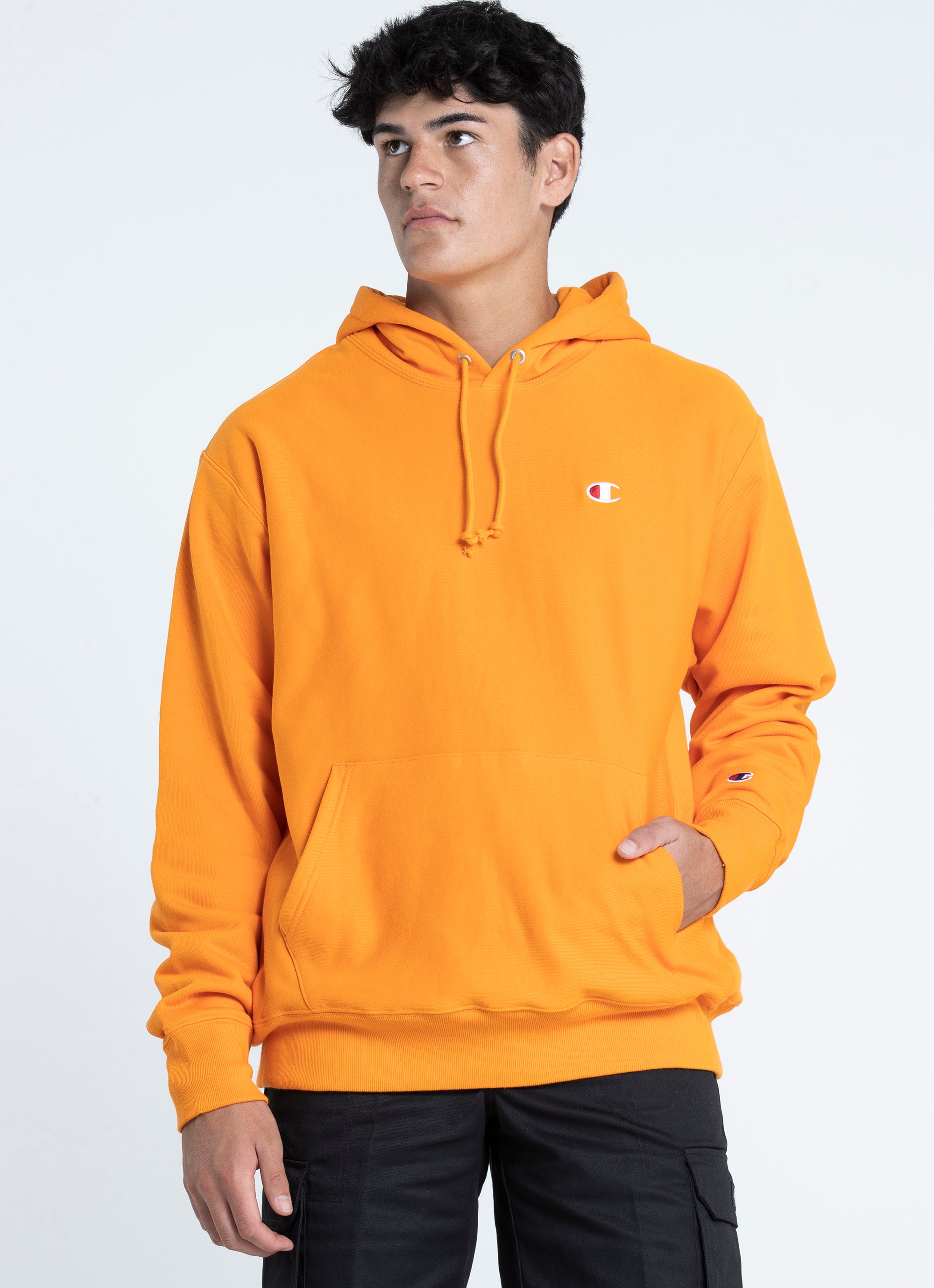 champion hoodie nz