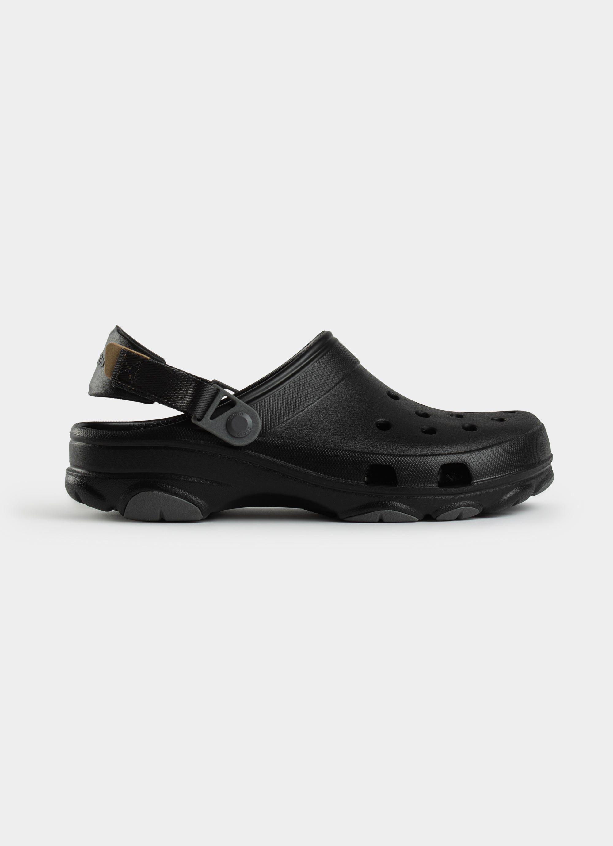Amazing Evolution: Crocs' Potential Thalatosuchian Transformation - l3d9l66