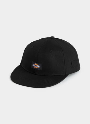 Dickies Carpenter Cap in Grey