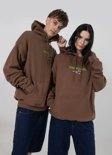 Dickies Eagle Hoodie in Brown