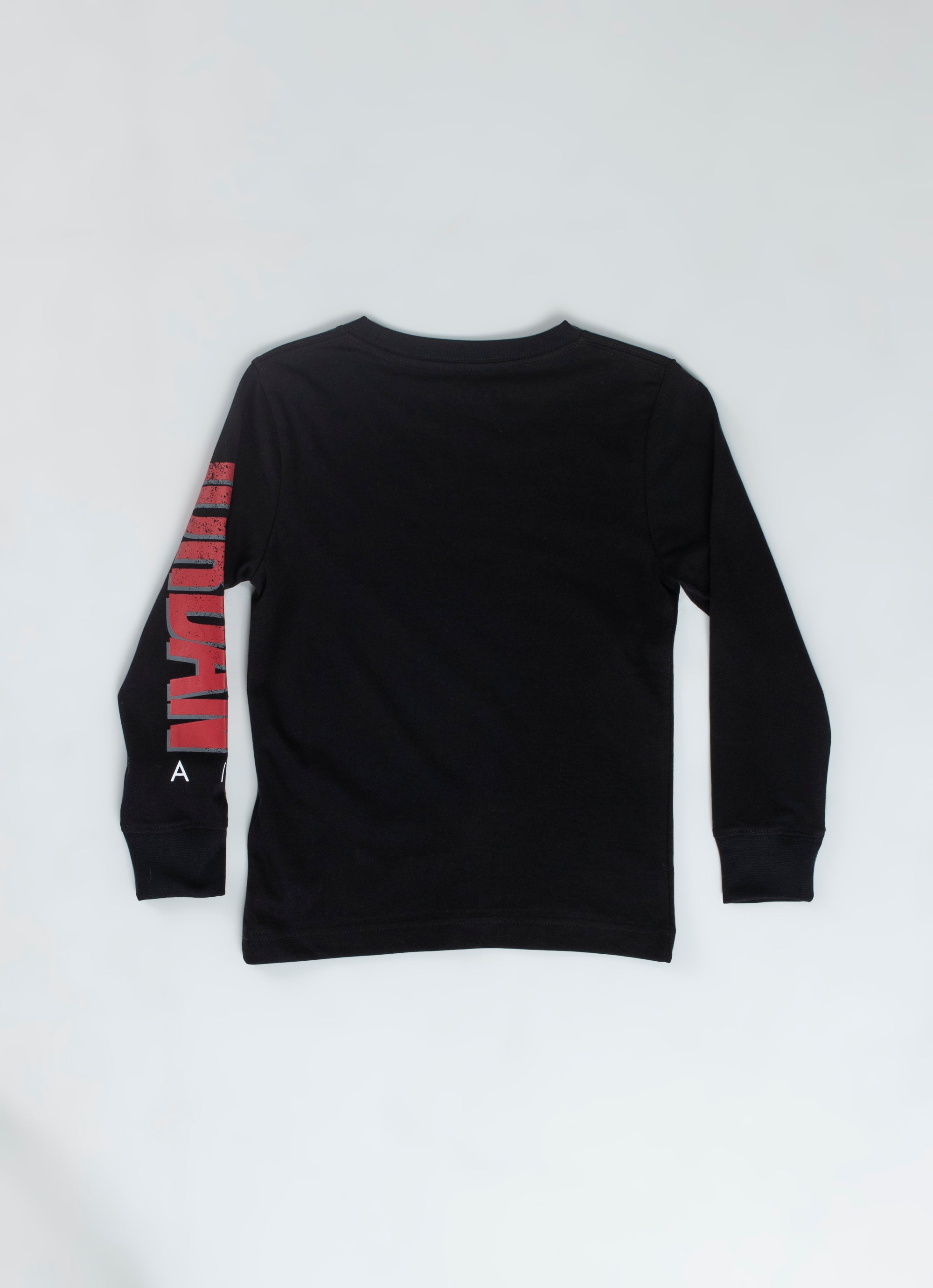 Jordan Long Sleeve Graphic T-shirt 