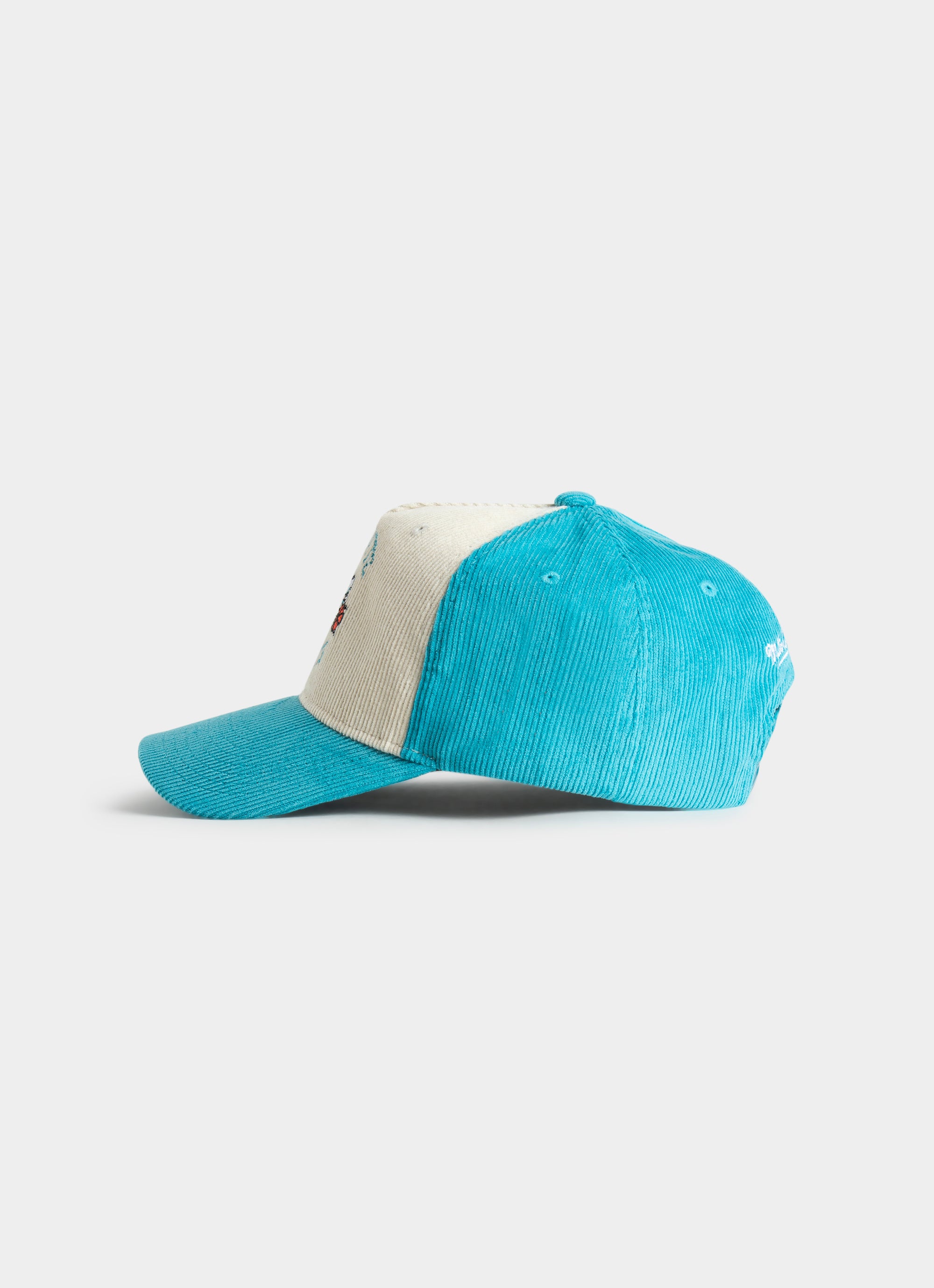 Mitchell & Ness Nba Charlotte Hornets Front Row Origin Snapback Cap in Blue