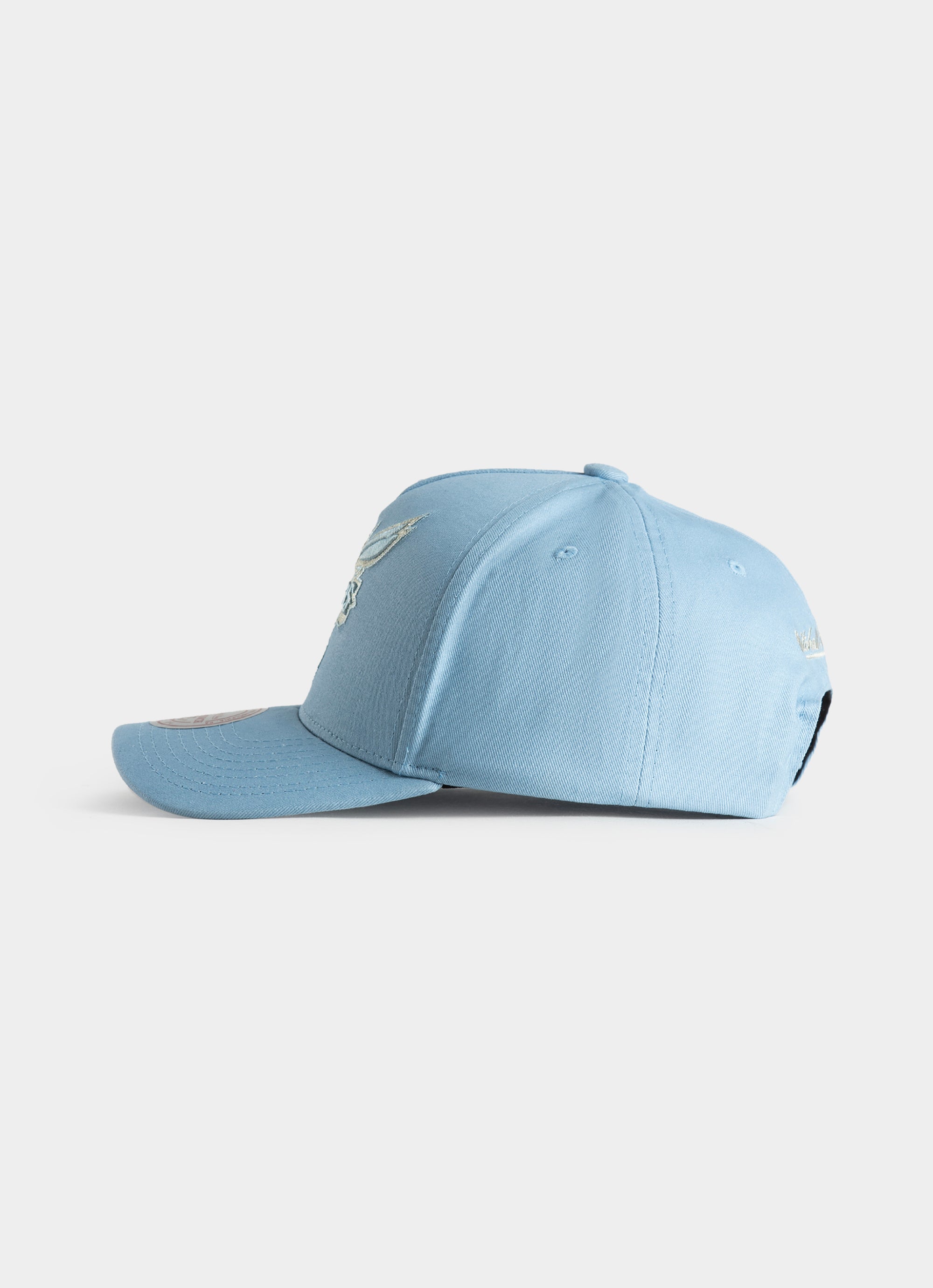 Mitchell & Ness Nba Charlotte Hornets Seasonal Core Snapback Cap in Blue