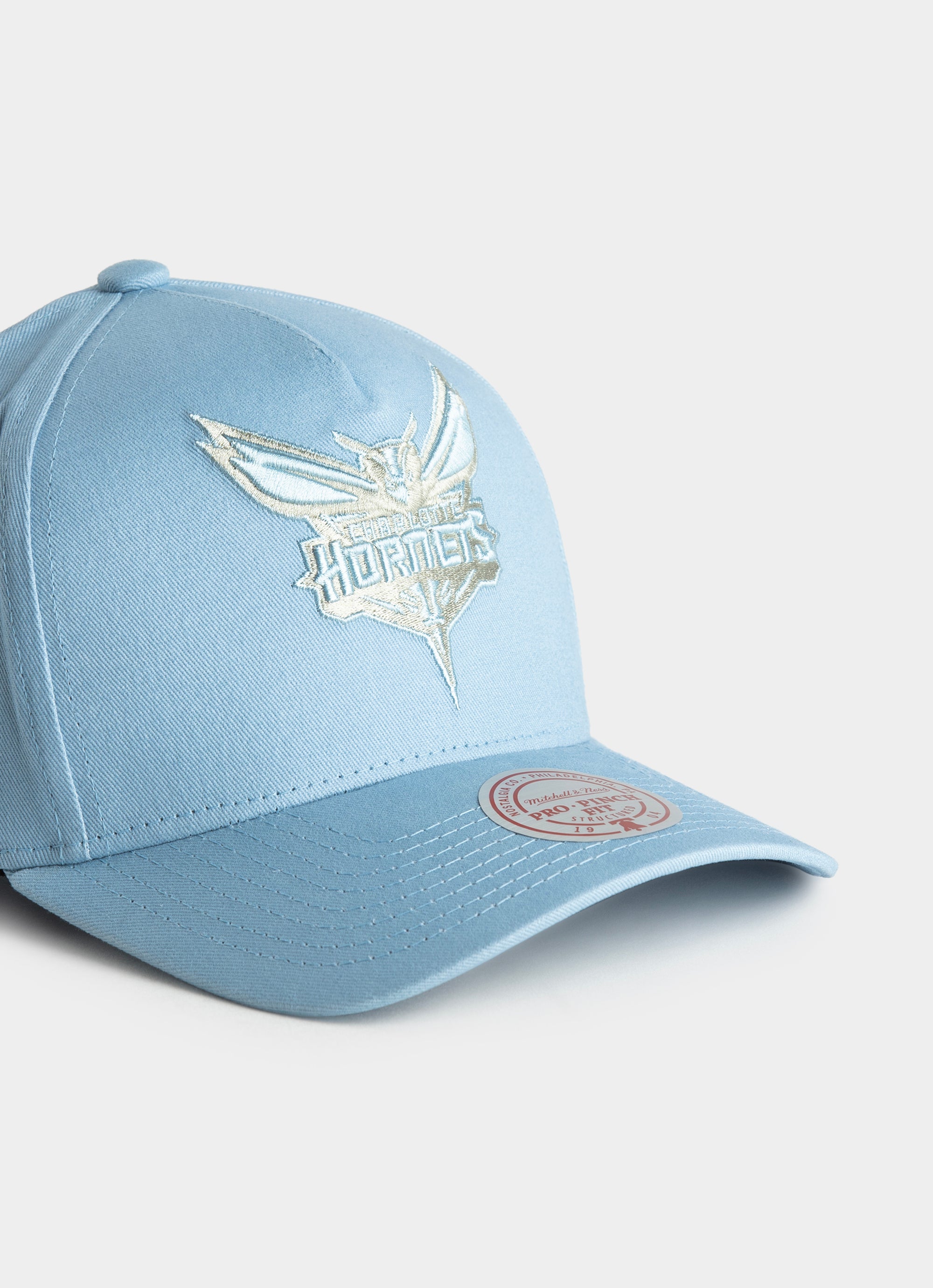Mitchell & Ness Nba Charlotte Hornets Seasonal Core Snapback Cap in Blue