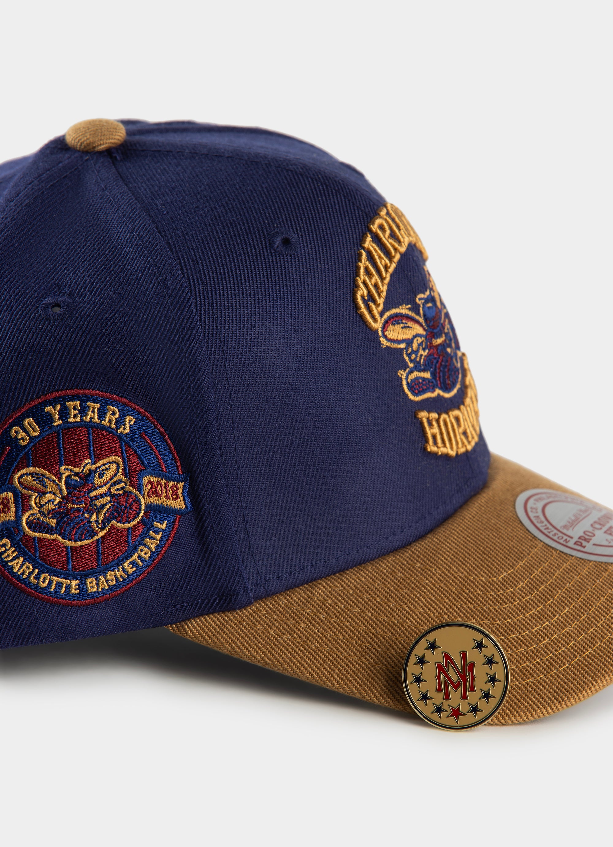 Mitchell & Ness Nba Charlotte Hornets Work It Pro Crown Snapback Cap in Blue