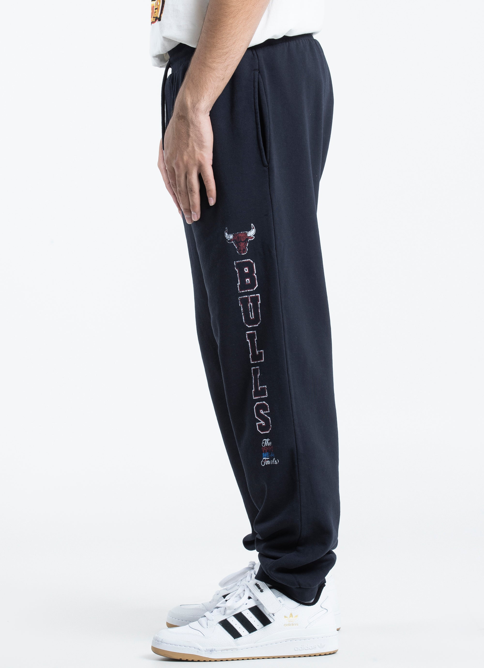Champion shop rodman sweatpants