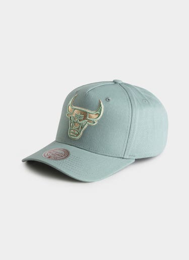 Mitchell & Ness Nba Chicago Bulls Seasonal Core Snapback Cap in Green