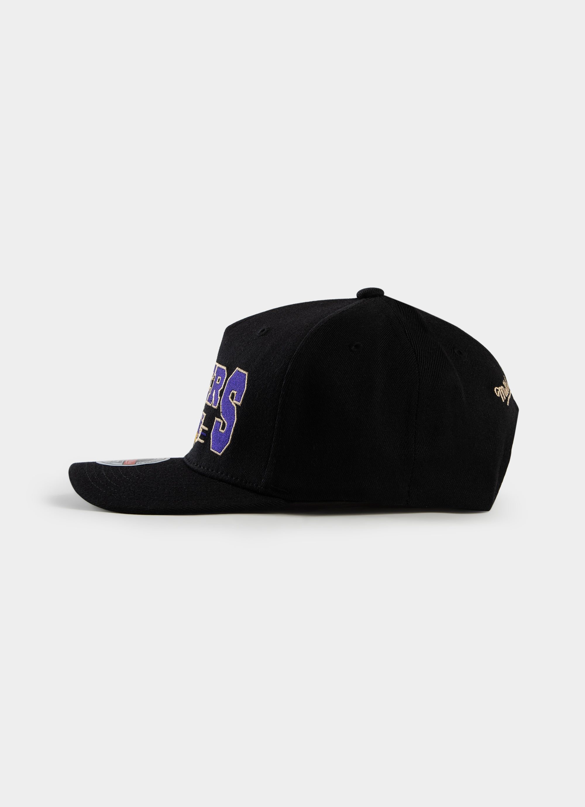 Mitchell & Ness Nba Los Angeles Lakers Pennant Snapback Cap in Black