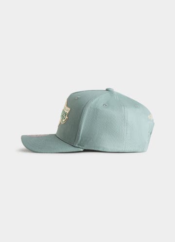 Mitchell & Ness Nba Los Angeles Lakers Seasonal Core Snapback Cap in Green