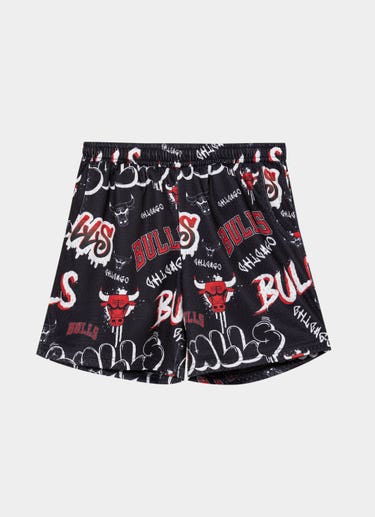 Nba Essentials Chicago Bulls Everett Mesh Short - Youth in Black