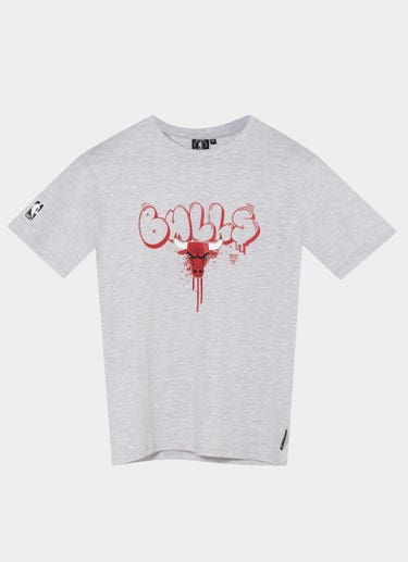 Nba Essentials Chicago Bulls Everett Short Sleeve Vintage Tee - Youth in Silver