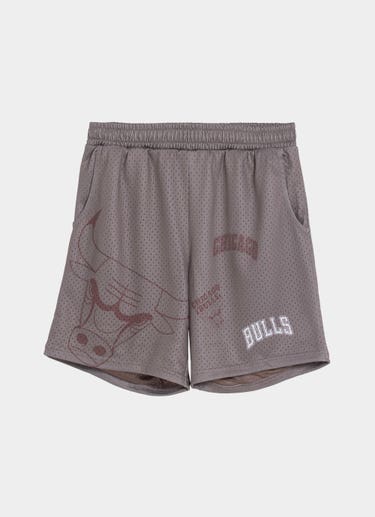 Nba Essentials Chicago Bulls Wallace Mesh Short - Youth in Beige