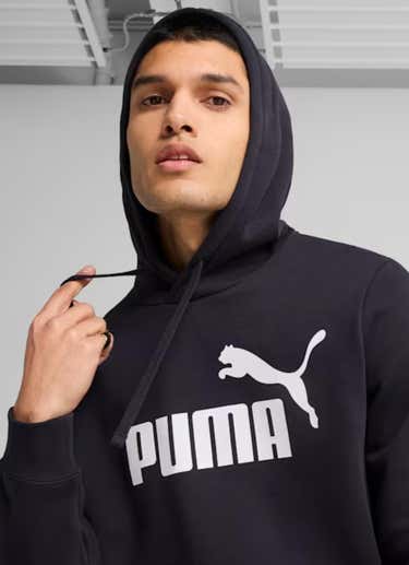 Puma Essential No.1 Logo Fleece Hoodie in Unknown